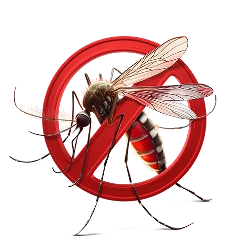 Insektenschutz - Fliegengitter